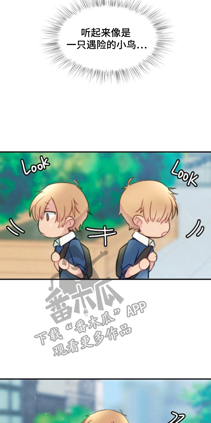 没勾完的死神名单漫画,第4章：濒死的小鸟4图