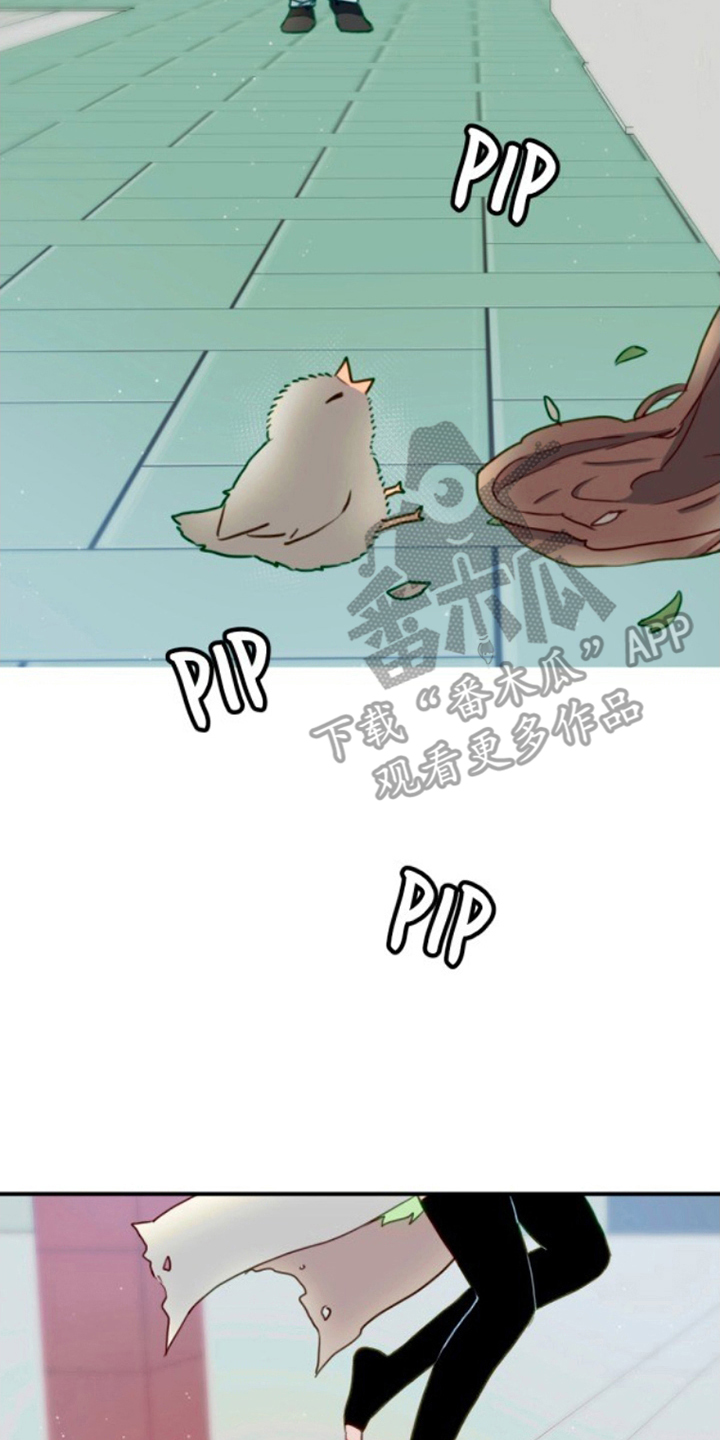 没勾完的死神名单漫画,第4章：濒死的小鸟1图