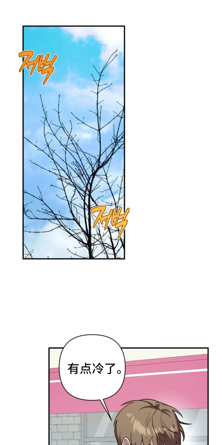 星光下的危险邀约漫画,第14章：你喜欢的5图