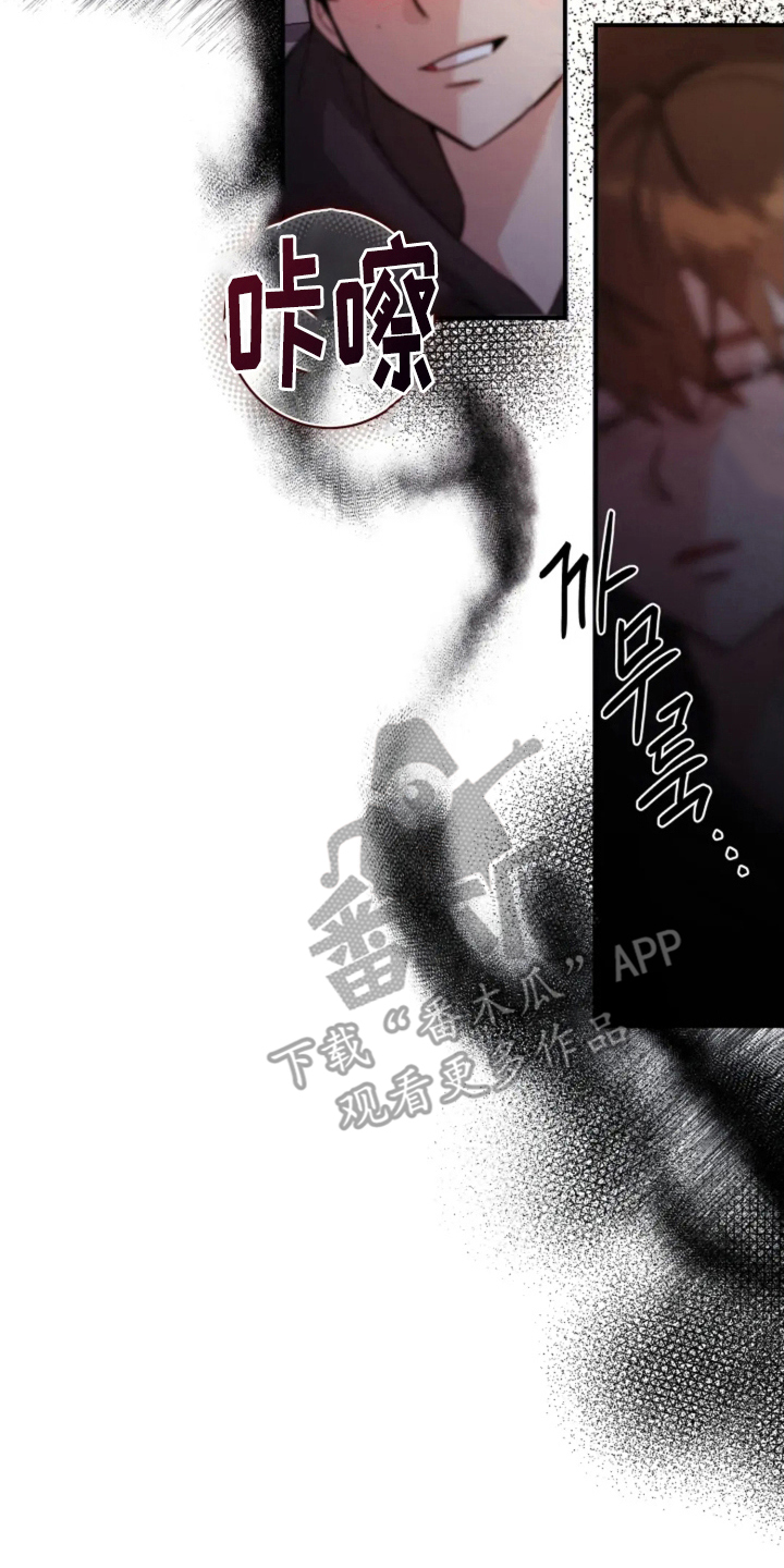 星光下的危险邀约角色漫画,第9章：相机的目的1图