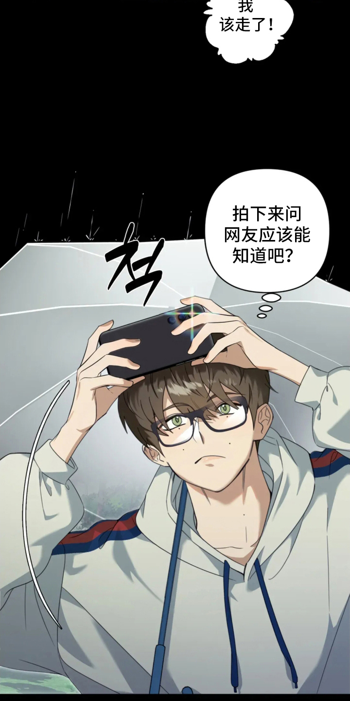 星光下的危险邀约漫画,第1章：音乐节目1图