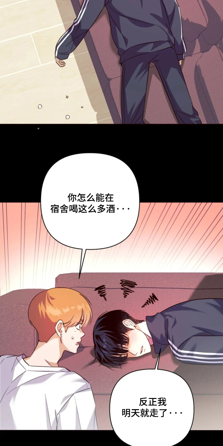 星光下的危险邀约漫画,第19章：我不想干了2图