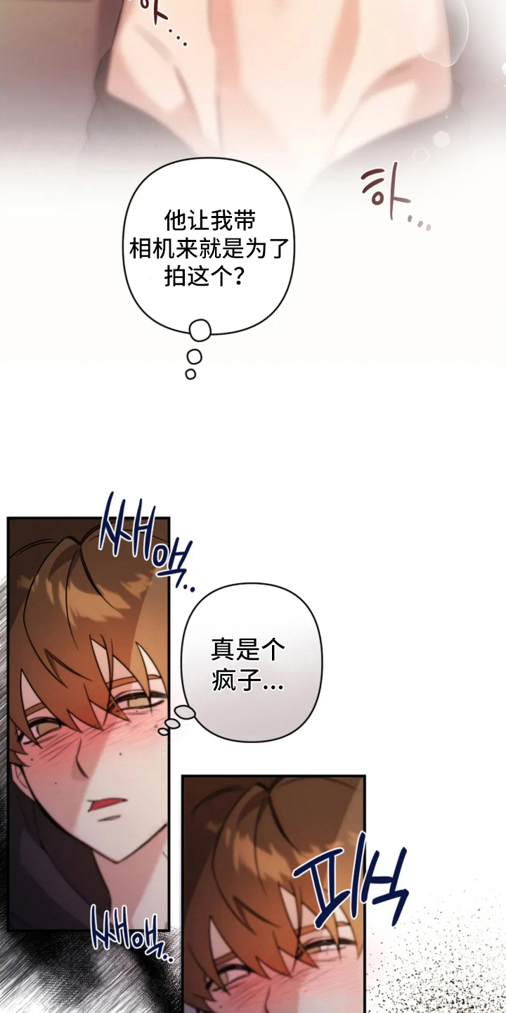 星光下的危险邀约角色漫画,第9章：相机的目的5图