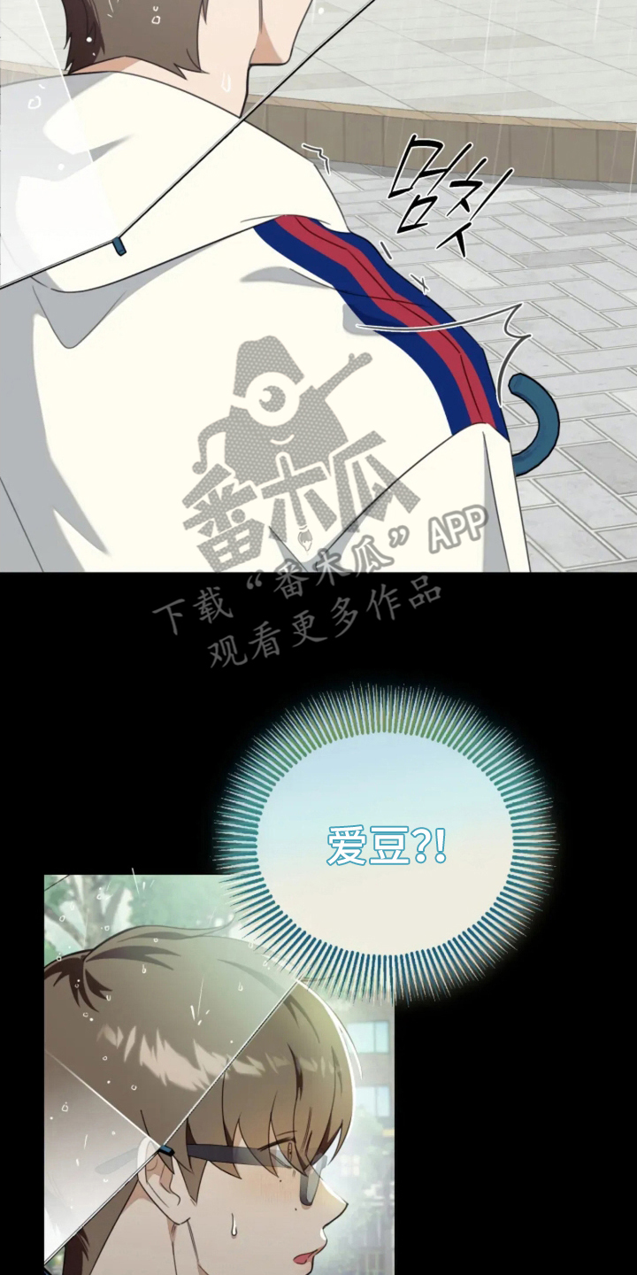 星光下的危险邀约漫画,第1章：音乐节目1图