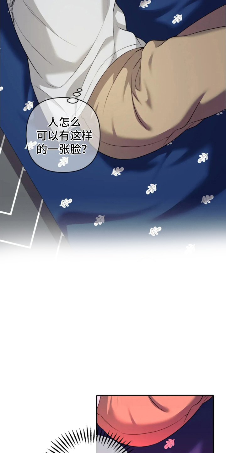 星光下的危险邀约角色漫画,第11章：清醒点1图