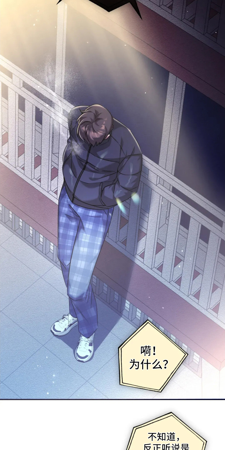 星光下的危险邀约漫画,第16章：内部问题5图