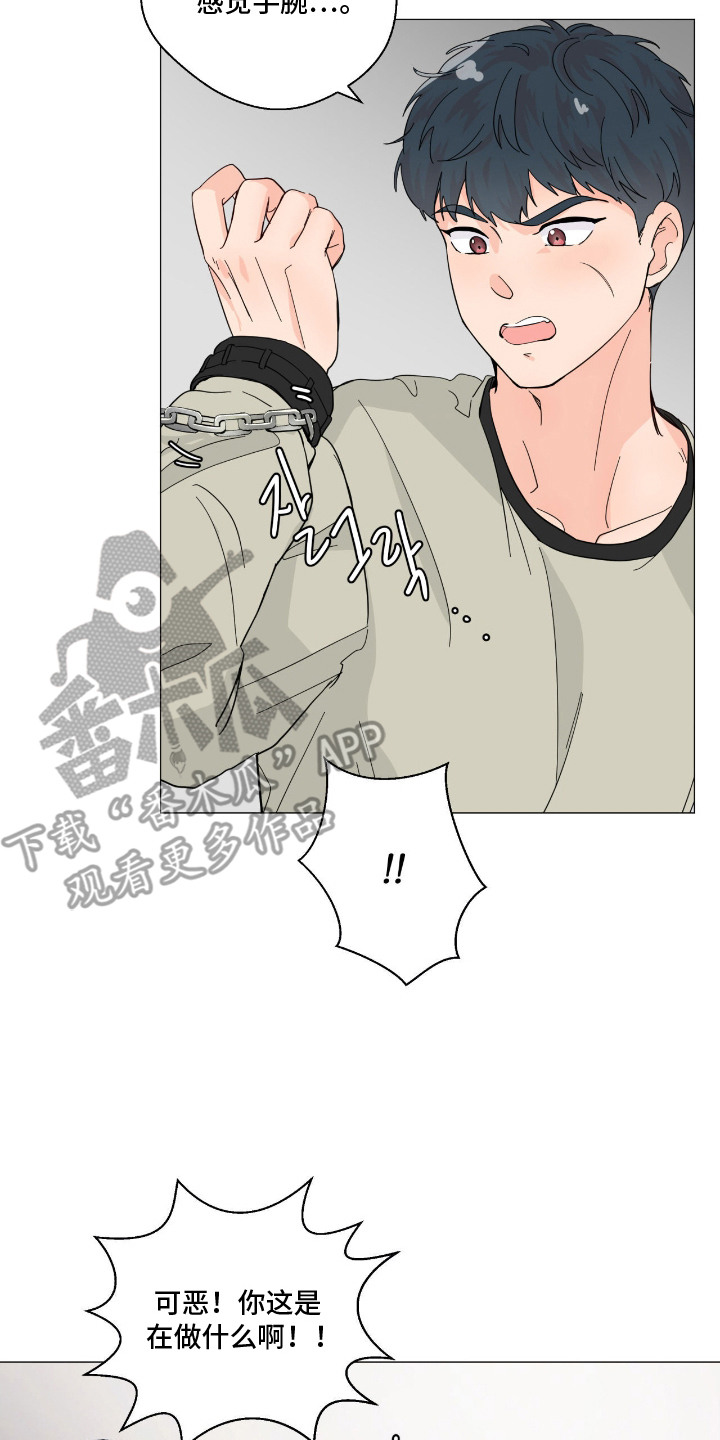 虎坠人间漫画,第6章：锁链2图