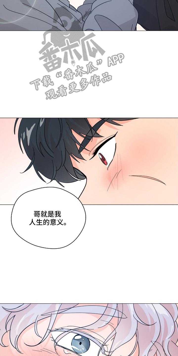 虎坠人间漫画,第14章：人生的意义2图