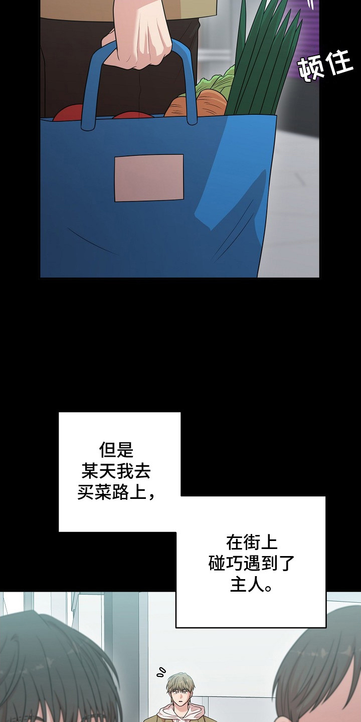 异热共生漫画,第15章：变得忙碌3图