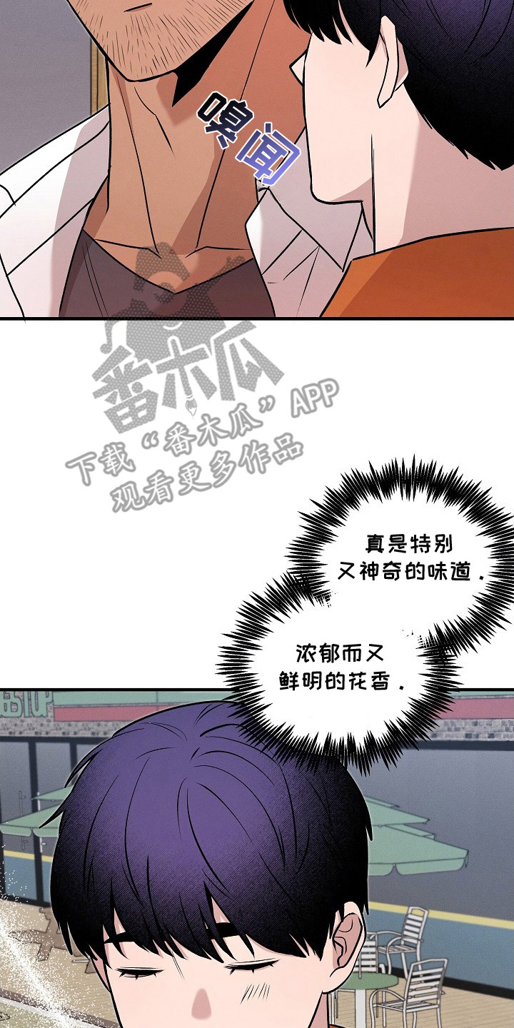 虚实结合什么意思漫画,第21章：相同的味道3图