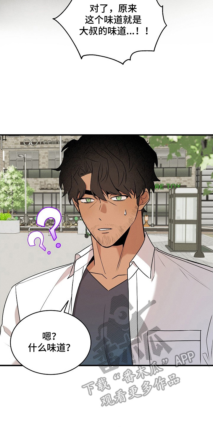 虚实结合什么意思漫画,第21章：相同的味道5图