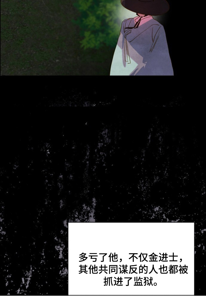 花烛夜歌词漫画,第17章：谋反之罪4图