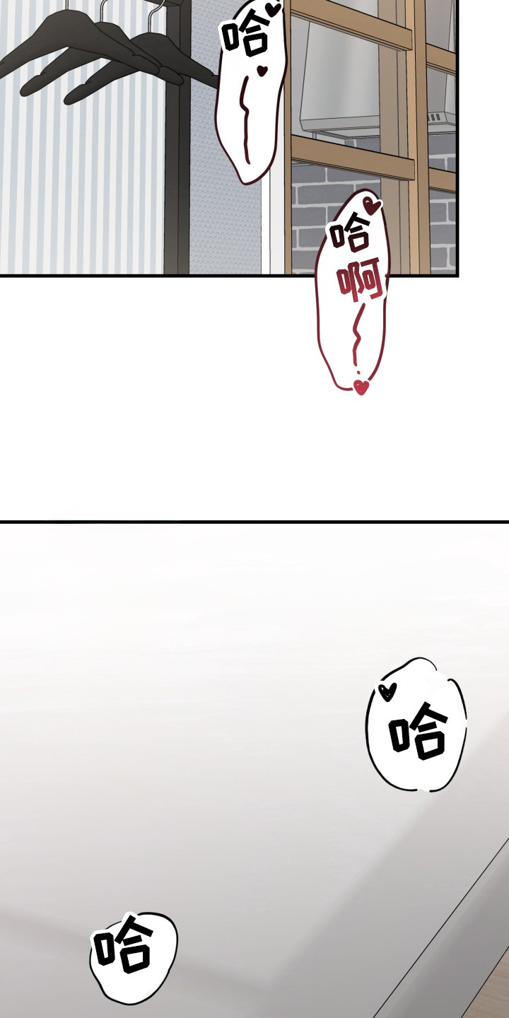 独占神秘妻免费阅读全文漫画,第12章：很平和1图