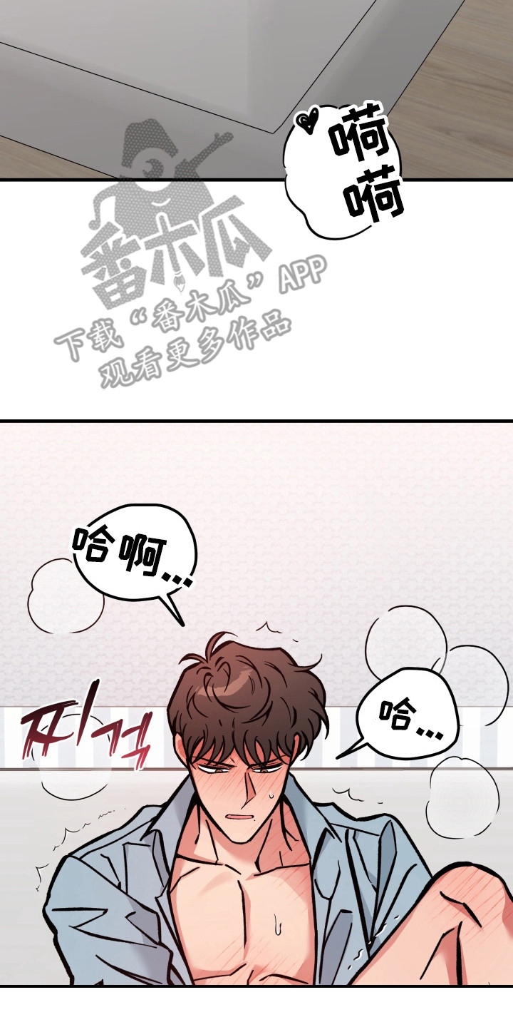 独占神秘妻免费阅读全文漫画,第12章：很平和2图