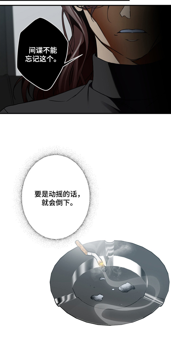 倒挂玫瑰花会枯萎吗漫画,第2章：关键线索3图