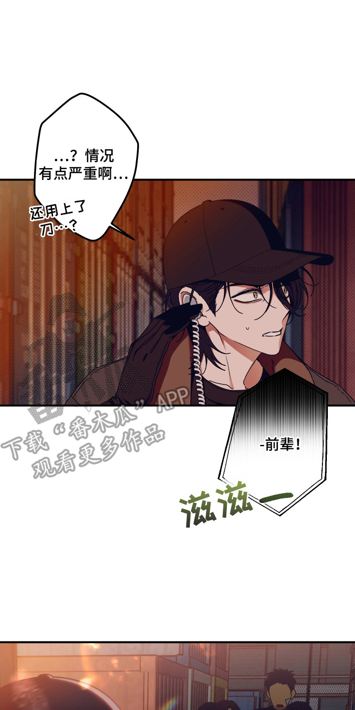 倒悬玫瑰漫画,第4章：突发状况5图