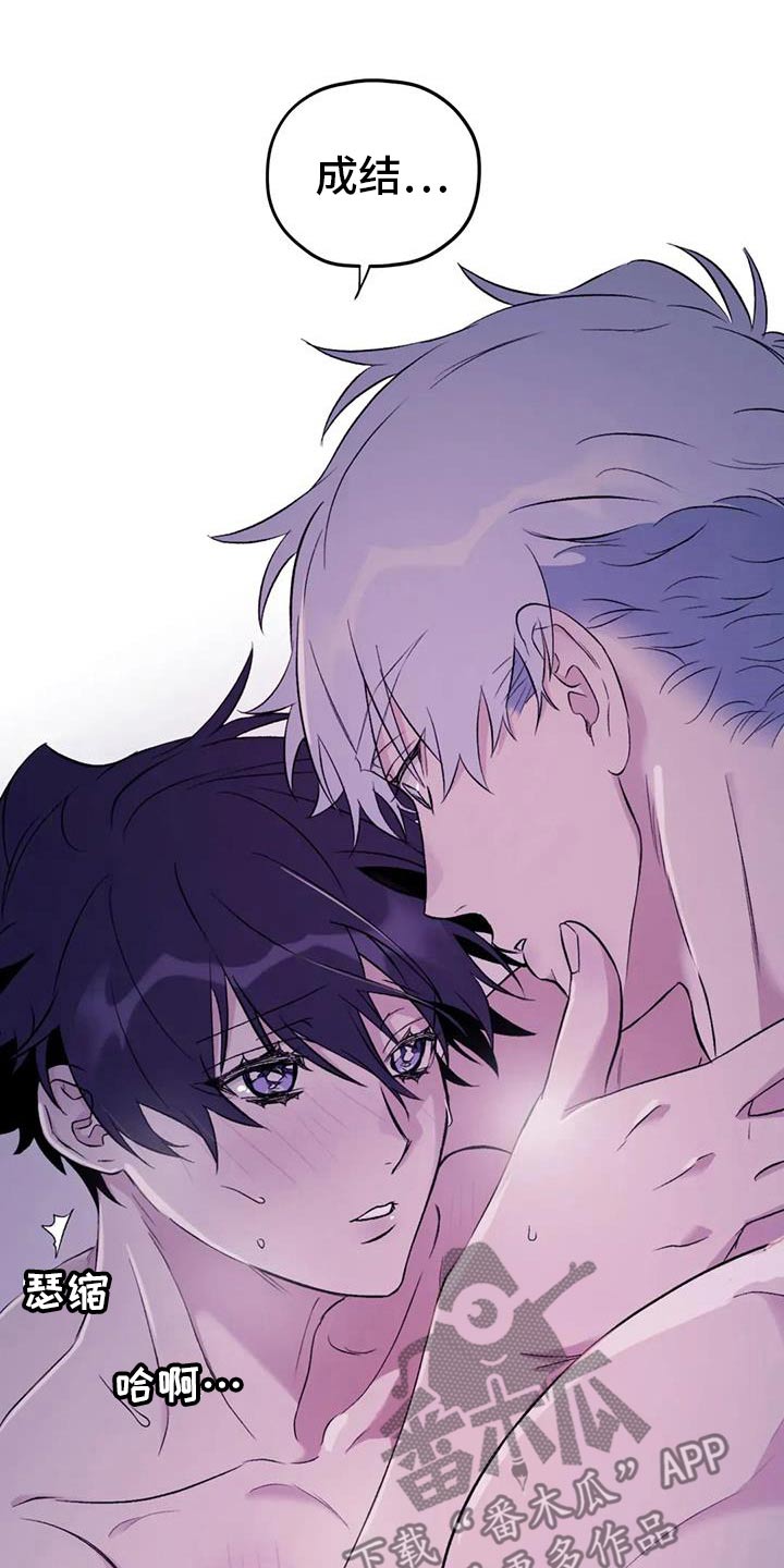 寻找波浪里的你漫画,第136章：【第三季】专用4图