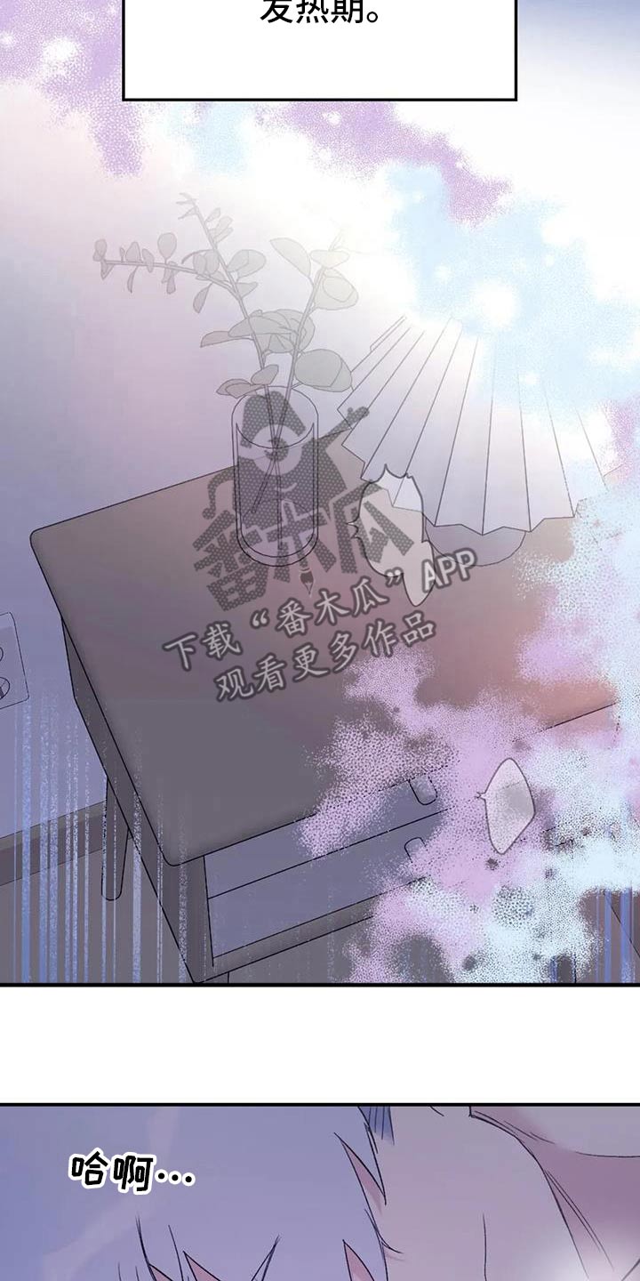 第136章：【第三季】专用2