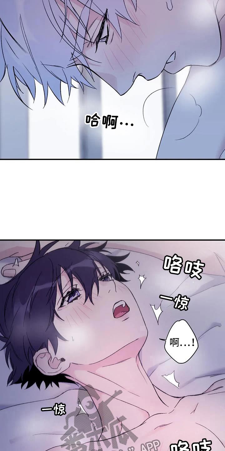 第136章：【第三季】专用3