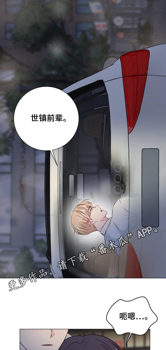 国外旅游搭档博主漫画,第19章：自己看着办3图