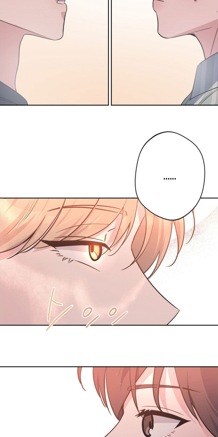 天使圣剑和海神三叉戟哪个好漫画,第65章：【第二季】不能给我机会吗2图