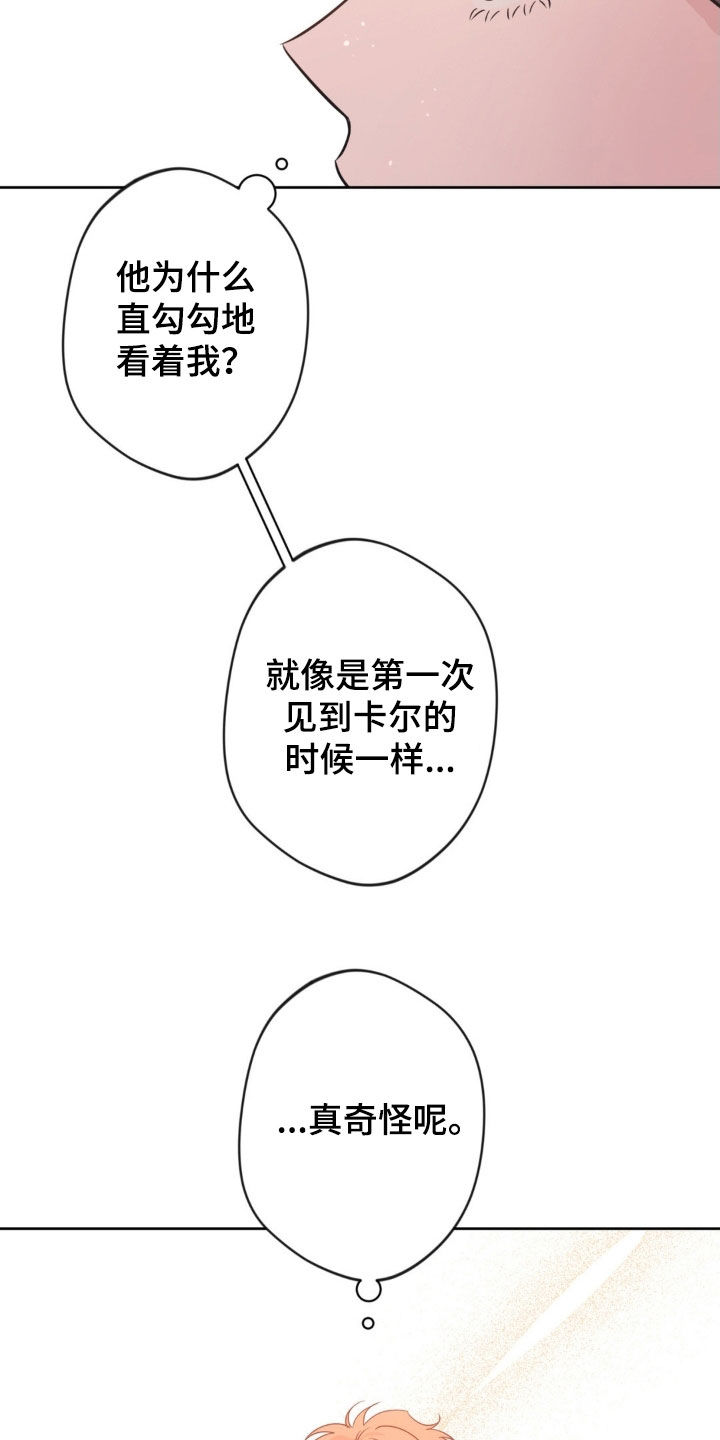 天使圣剑和海神三叉戟哪个好漫画,第65章：【第二季】不能给我机会吗3图