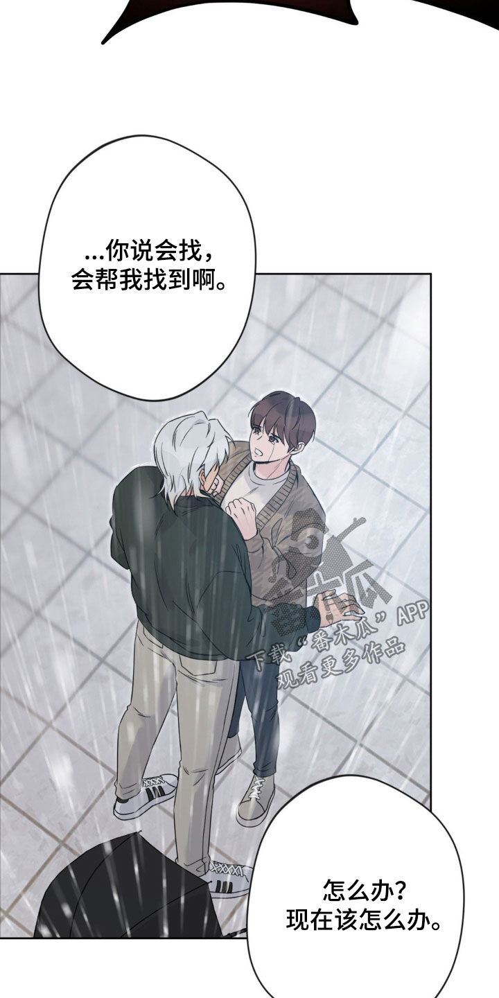 天使圣剑阵容搭配漫画,第22章：要多少给多少1图