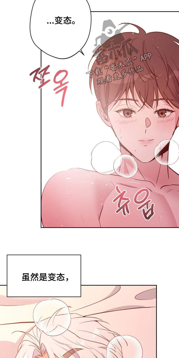 天使圣痕1-52集解说漫画,第69章：【第二季】跟我在一起吧2图