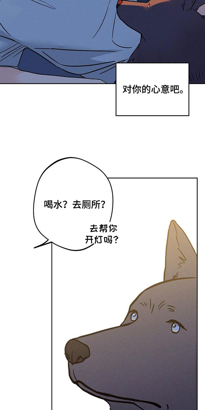 圆月变身漫画,第20章：太残忍了5图