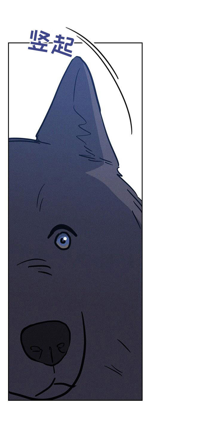 圆月变身漫画,第19章：吃醋5图