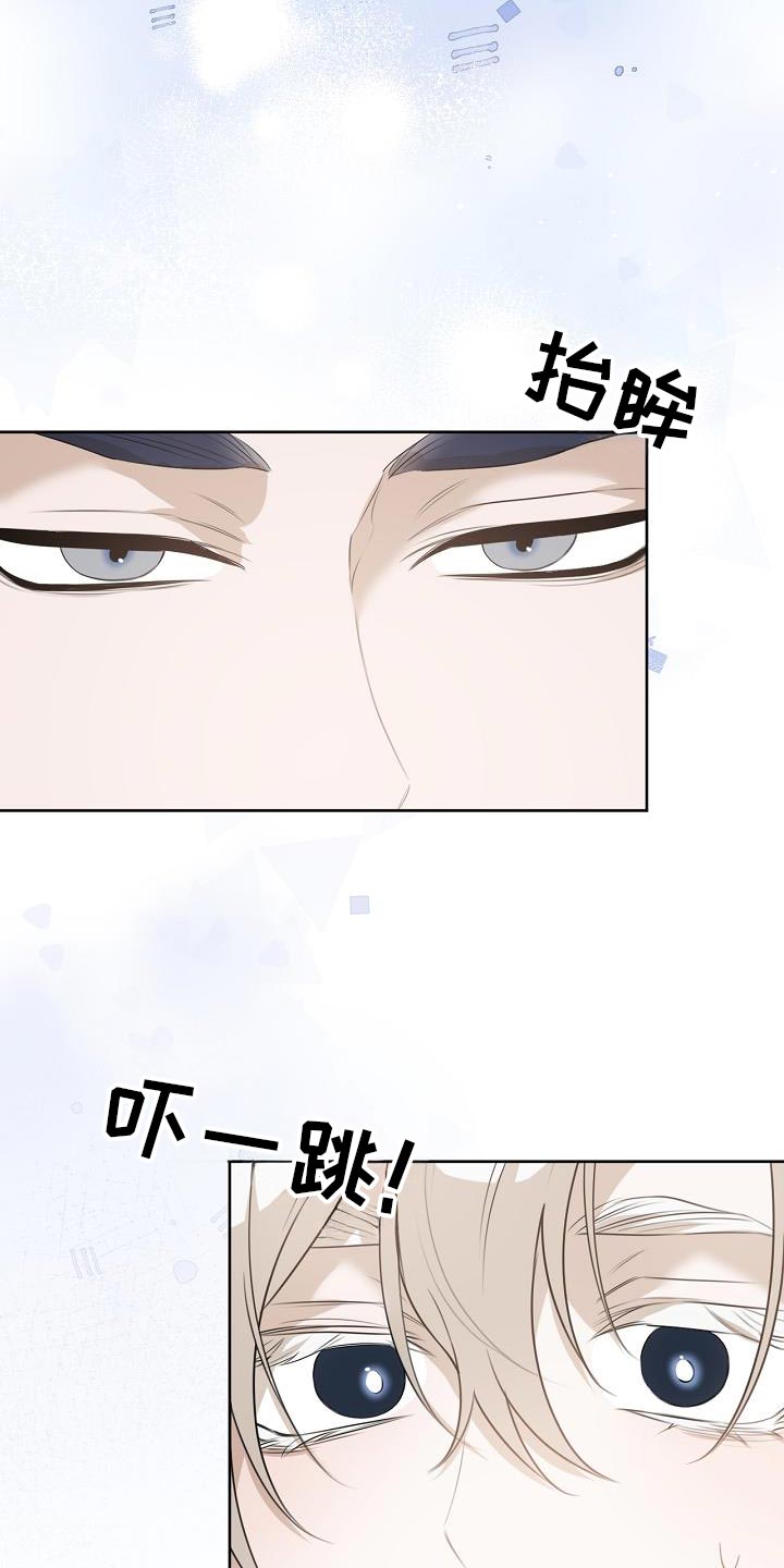《白鸟奇遇记》简介漫画,第49章：魅力2图