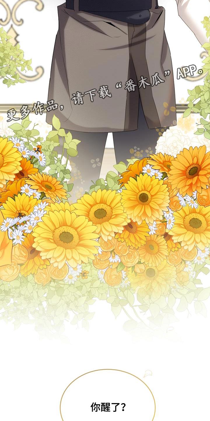 白鸟奇遇记全集完整版解说漫画,第44章：不可思议3图