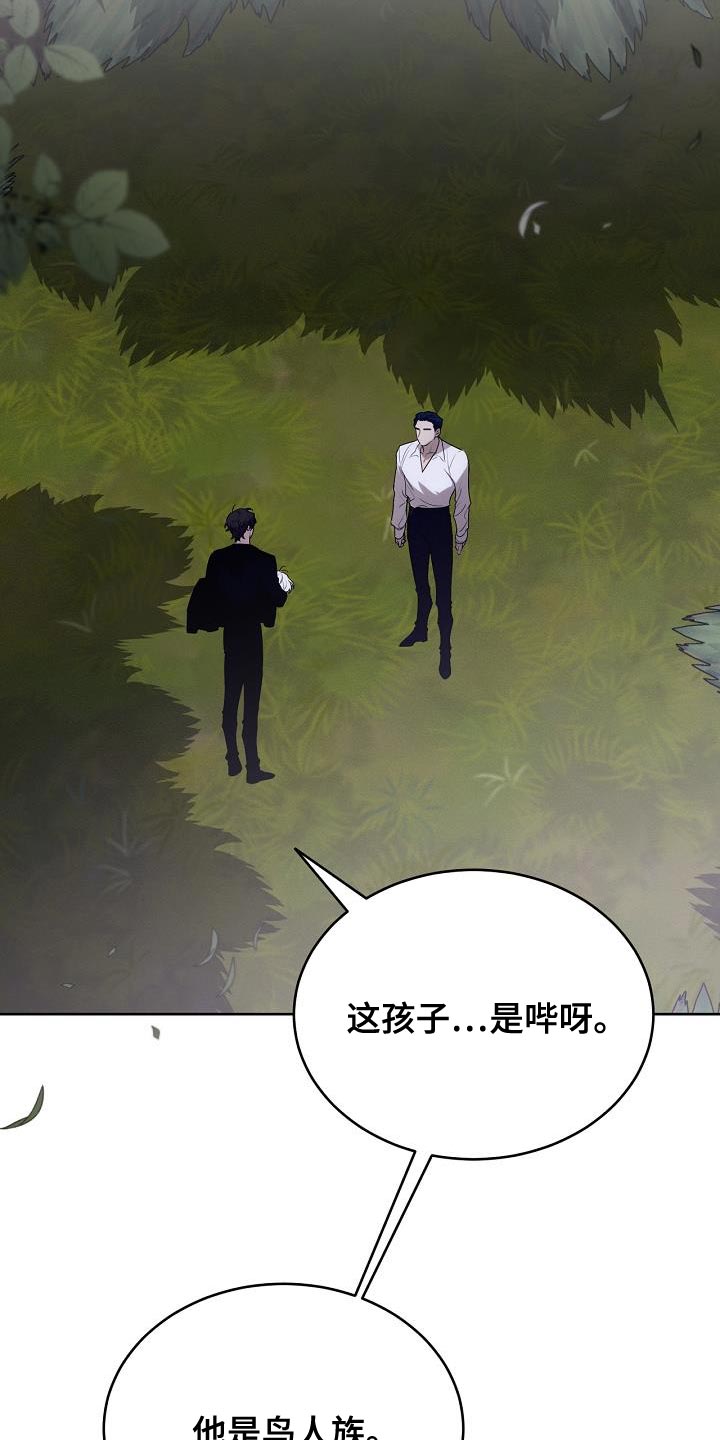 白鸟获取漫画,第43章：我该去找它了3图