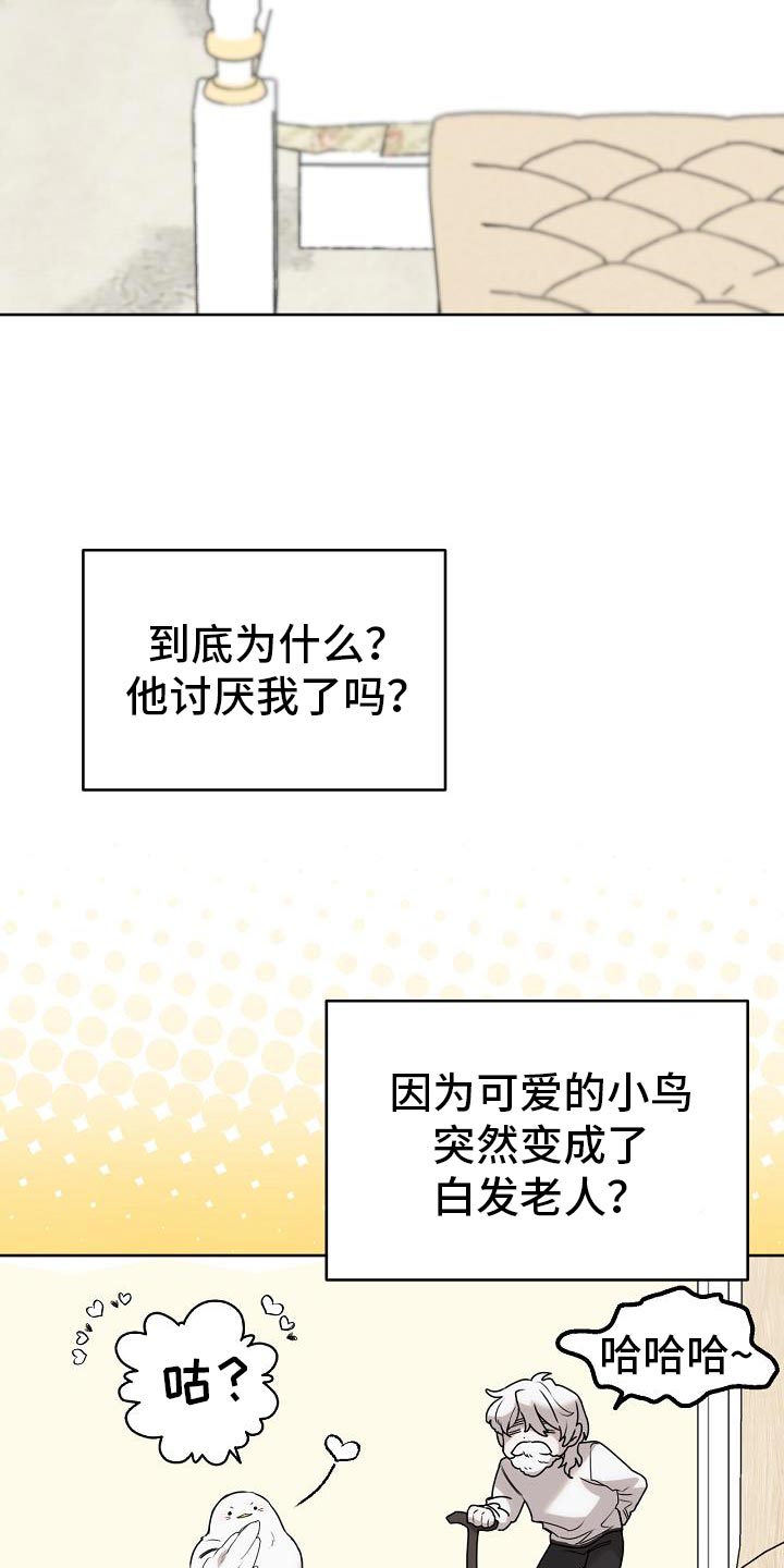 白鸟奇遇记漫画,第46章：不知道该怎么面对你5图