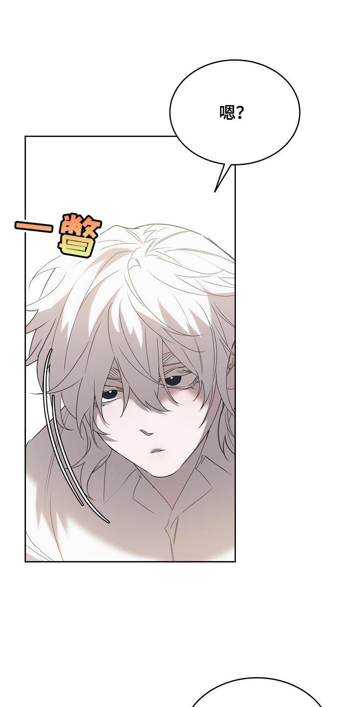 白鸟奇遇记全集完整版解说漫画,第44章：不可思议1图