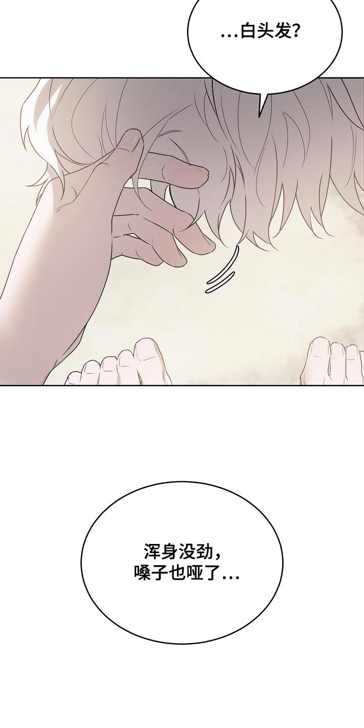 白鸟奇遇记全集完整版解说漫画,第44章：不可思议2图