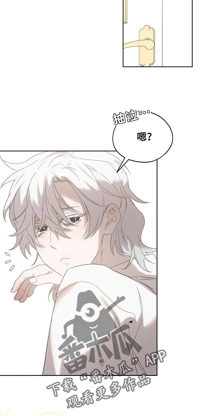 白鸟奇遇记全集完整版解说漫画,第44章：不可思议1图