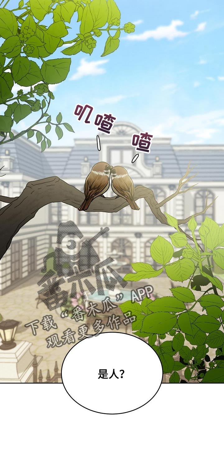 白鸟奇遇记6漫画,第44章：不可思议1图