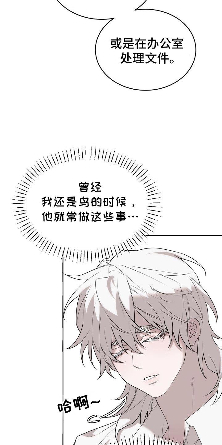白鸟奇遇记6漫画,第46章：不知道该怎么面对你3图
