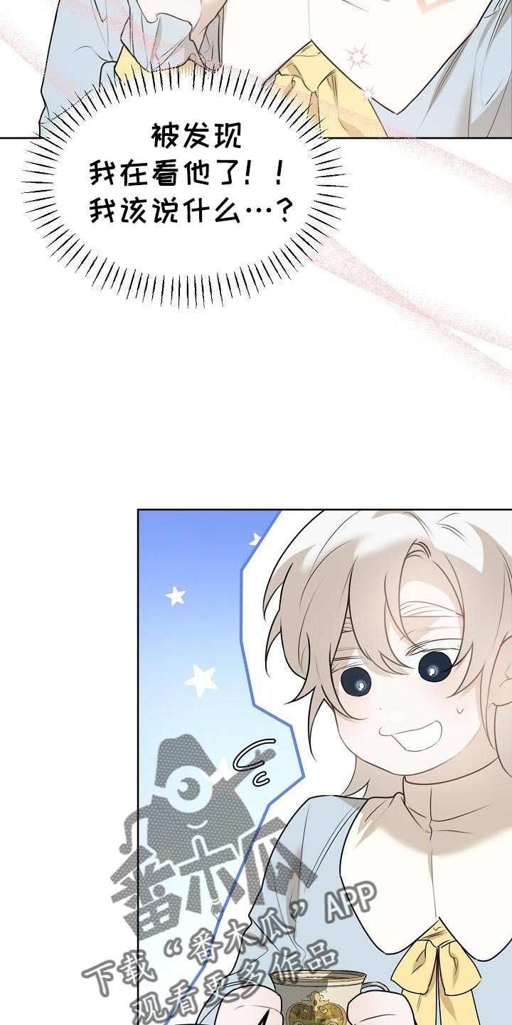 《白鸟奇遇记》简介漫画,第49章：魅力4图