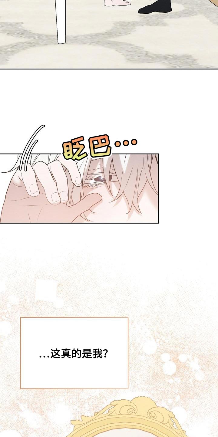 白鸟奇遇记漫画全集漫画,第47章：你不讨厌我吧？2图