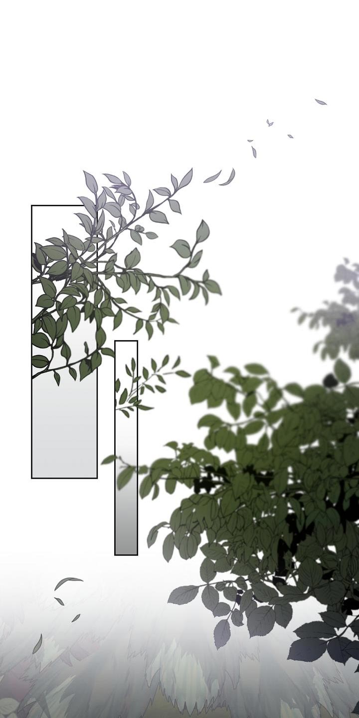 白鸟获取漫画,第43章：我该去找它了2图