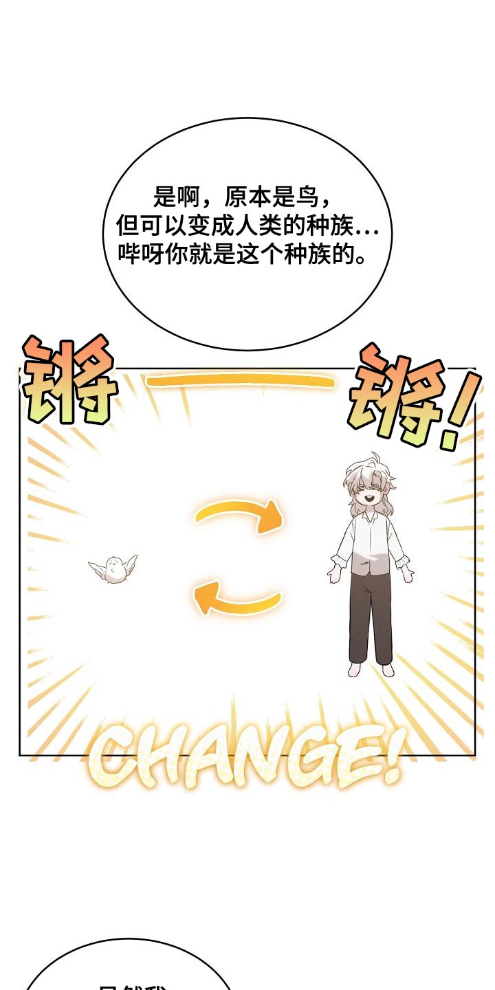 白鸟奇遇记6漫画,第44章：不可思议4图