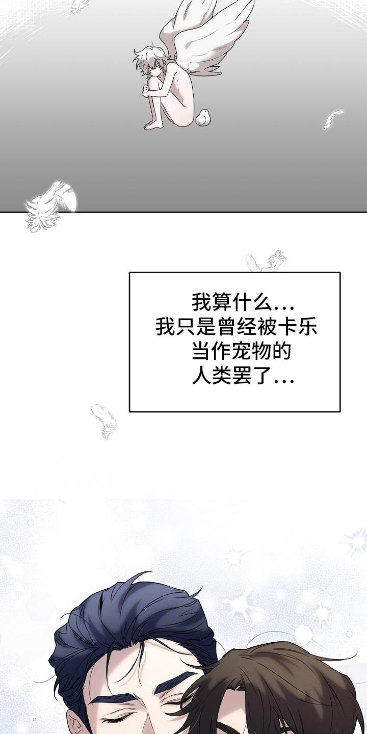 白鸟奇遇记6漫画,第46章：不知道该怎么面对你4图