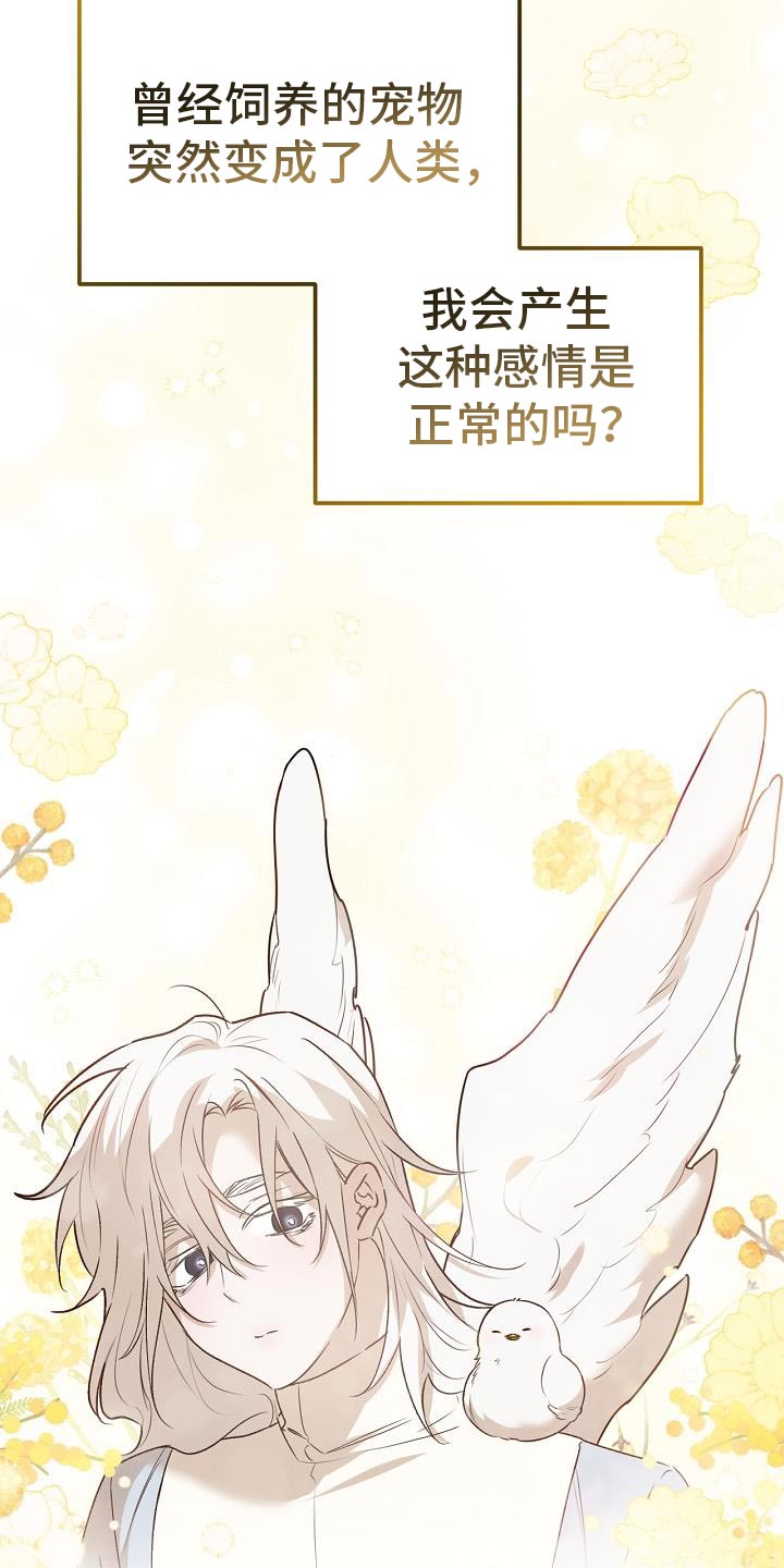 白鸟红酒漫画,第50章：自杀2图