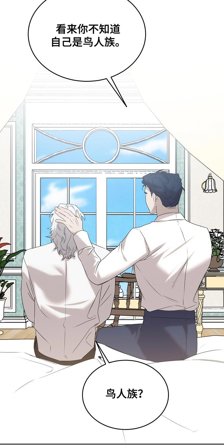 白鸟奇遇记6漫画,第44章：不可思议3图