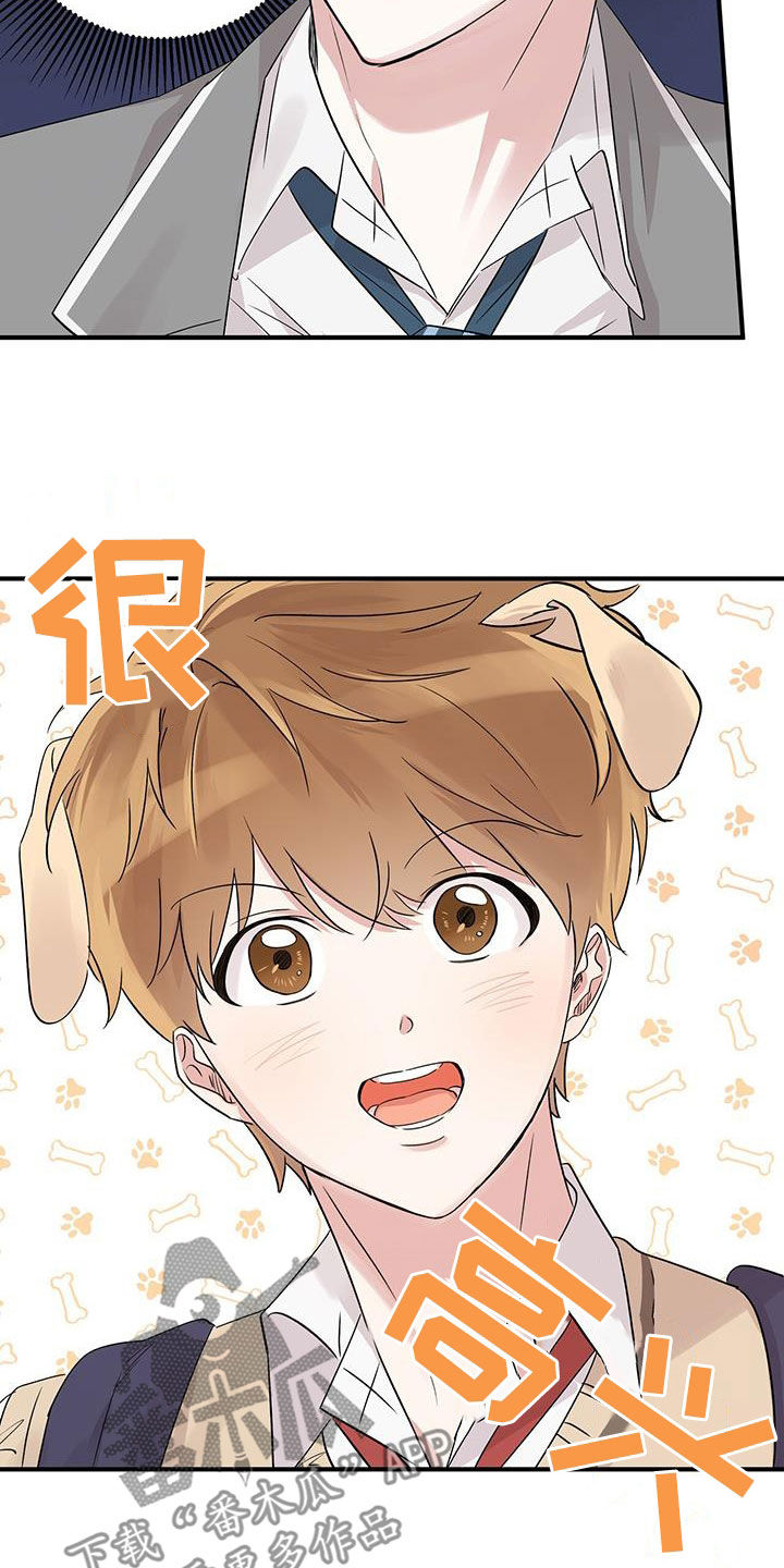 他的专属小狗漫画,第19章：转学生4图