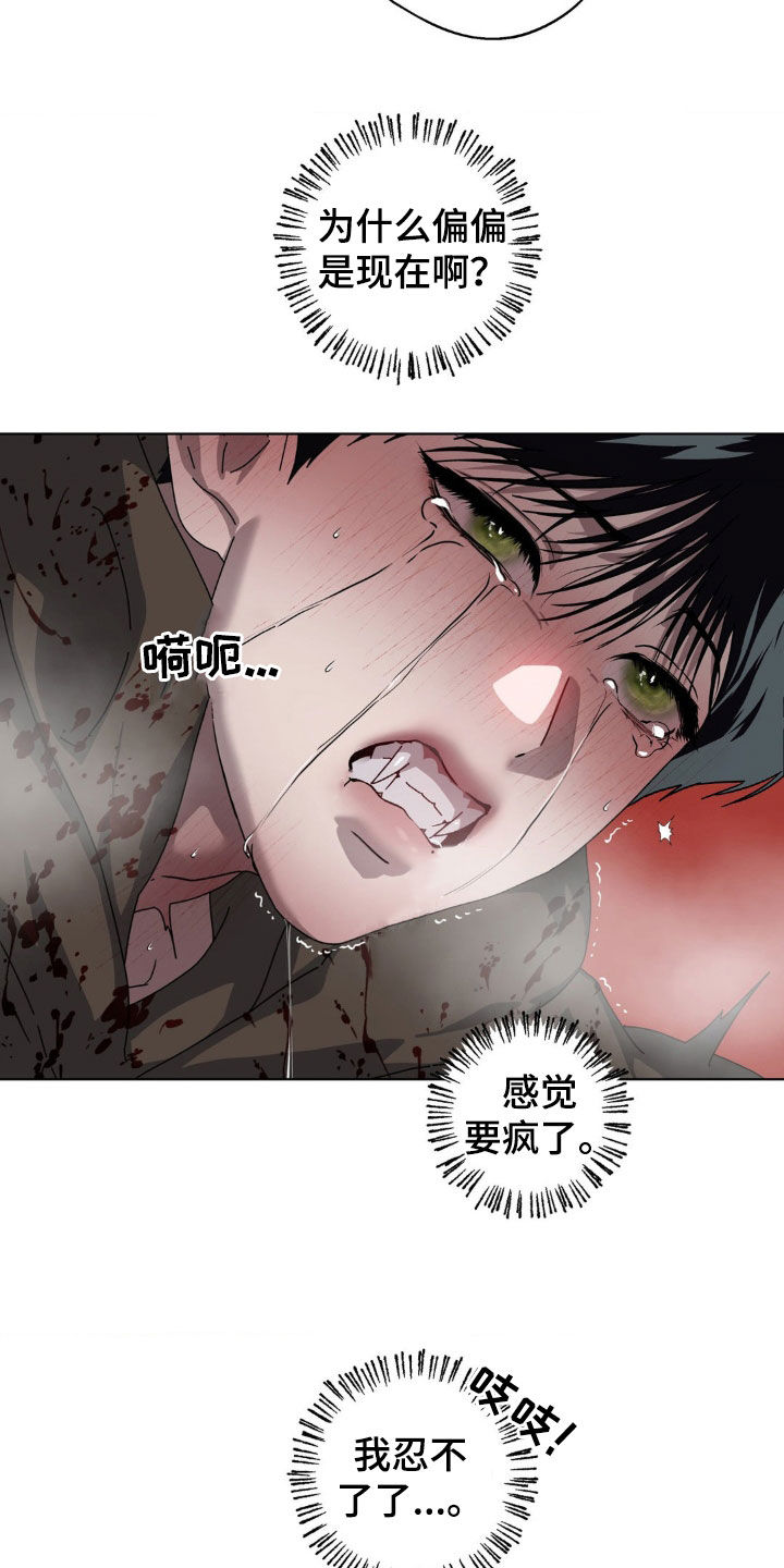 在深渊等你漫画,第20章：血雨4图