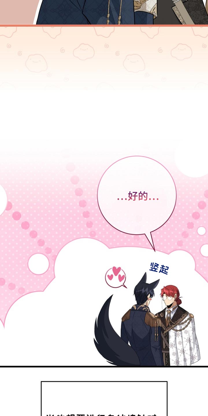 皇家教师漫画主角介绍漫画,第37章：我必须要赢！5图