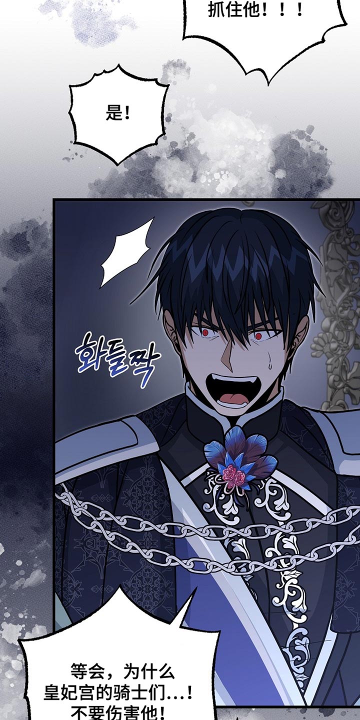 皇家的老师叫什么漫画,第89章：【第二季】崇高的爱情3图